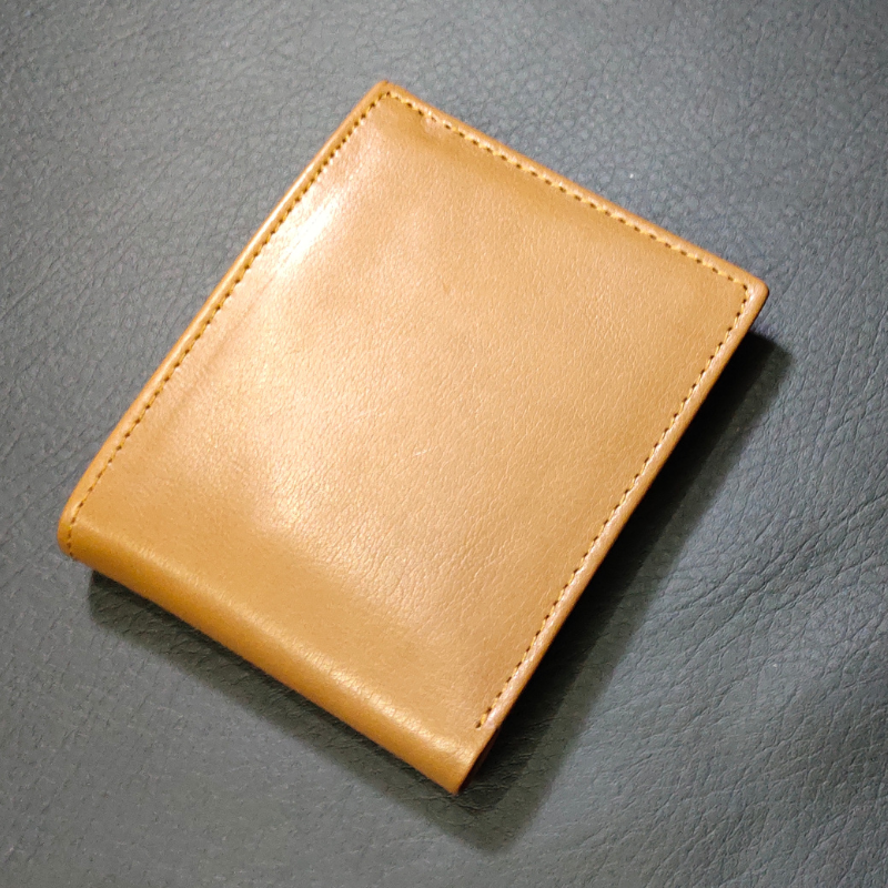 Tri-Fold Treasure Wallet
